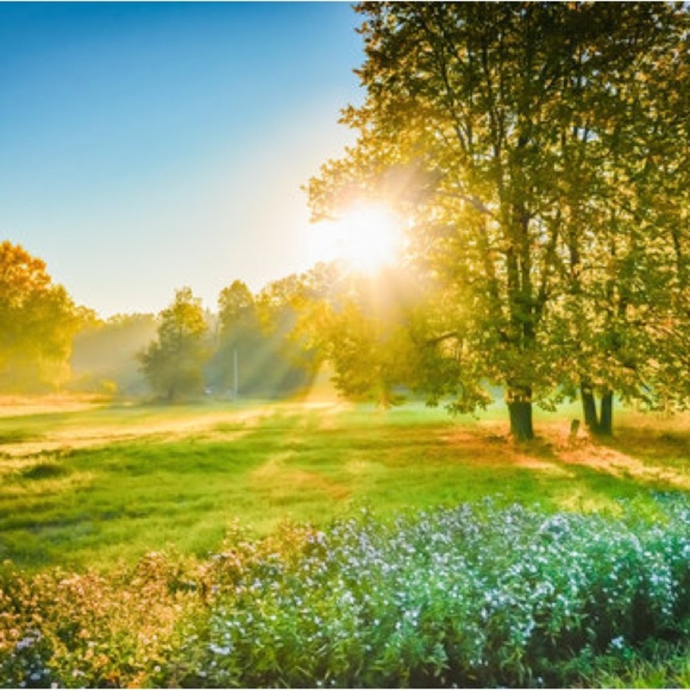 Scenic Nature Landscape Art Print